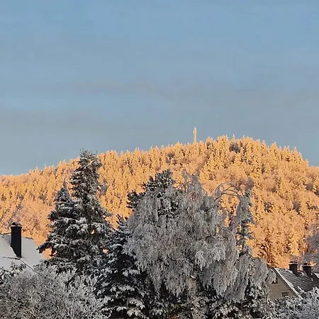 Fewo Peter Erholungsort Baerenstein Altenberg  Exterior foto