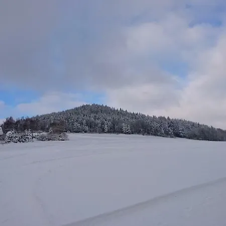 Fewo Peter Erholungsort Baerenstein Altenberg  Exterior foto